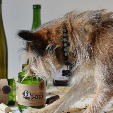 RESCUED WINE CHARDONNAY SOY CANDLE - SIGNATURE COLLECTION