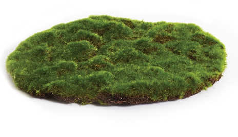 MOSS SHEET ROUND 12"