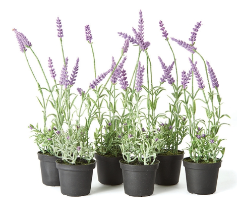 FRENCH LAVENDER DROPIN 3" X 13"
