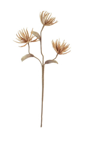 FALL BOTANICA #2664