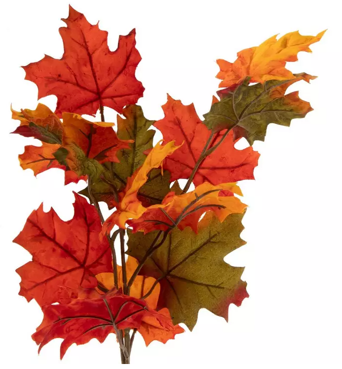 FALL MAPLE LEAVES STEM