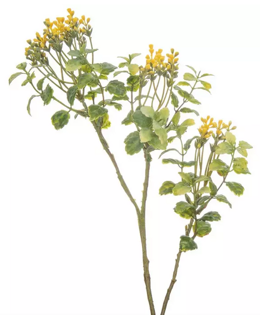 PIERIS BUD & LEMON LEAF SPRAY - ASSORTED