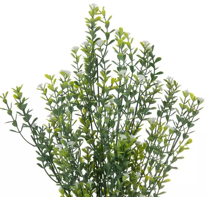 SMALL BUD FLOWERING SPRAY