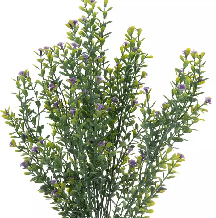 SMALL BUD FLOWERING SPRAY