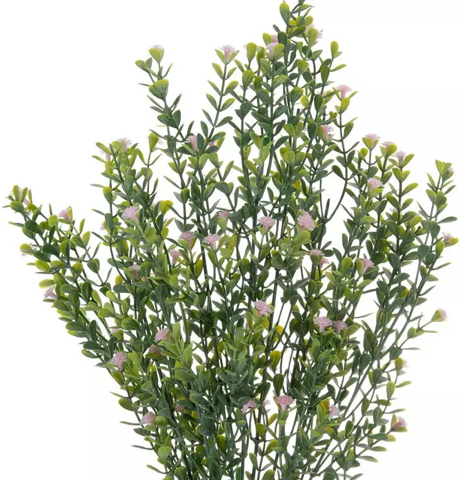 SMALL BUD FLOWERING SPRAY