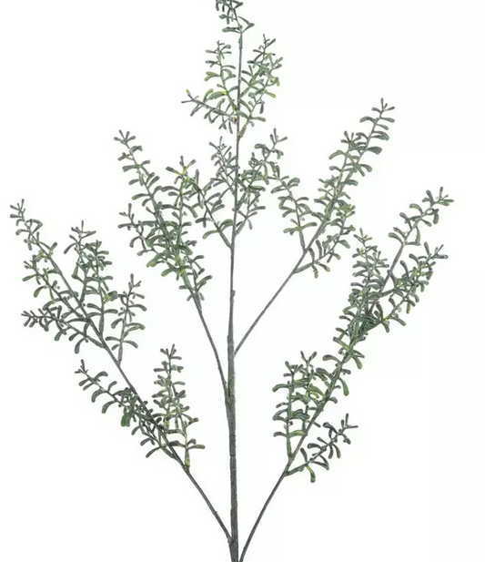 FIELD GRASS SPRAY