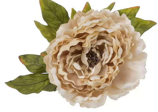 PEONY STEM