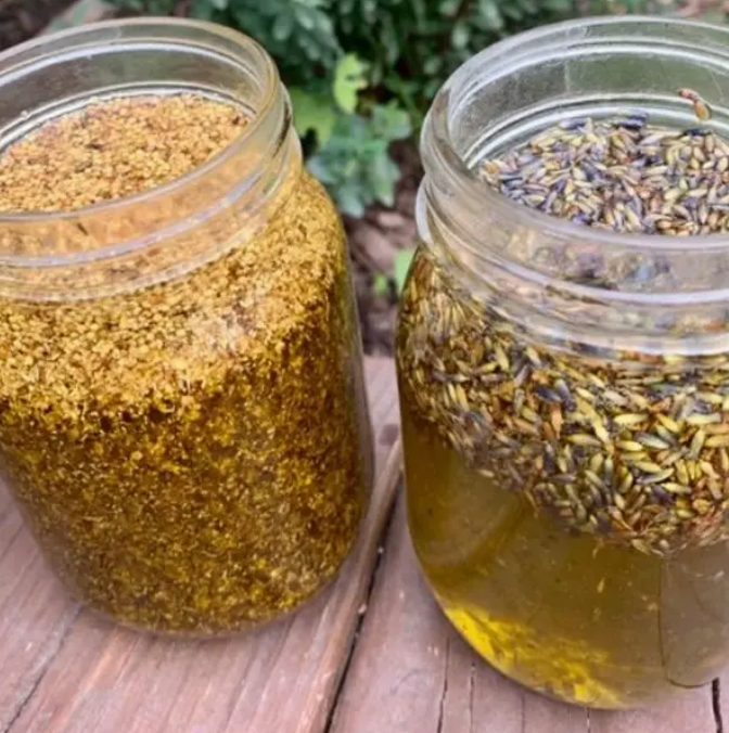 ELDERFLOWER & LAVENDER HEALING & CALMING HERBAL BALM - 2oz