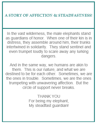 FIDDLE & GRACE ELEPHANT ORNAMENTS - ASSORTED