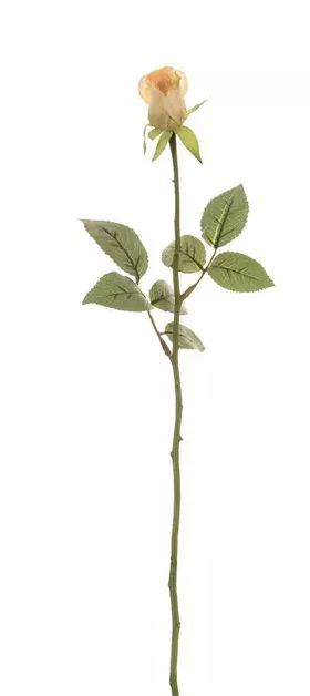 MINI ROSE BUD - ASSORTED