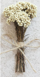 MINI NATURAL DRIED FLORAL FORGET-ME-NOT BOUQUET STEMS - ASSORTED