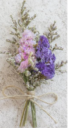 MINI NATURAL DRIED FLORAL FORGET-ME-NOT BOUQUET STEMS - ASSORTED