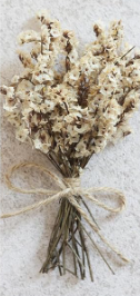 MINI NATURAL DRIED FLORAL FORGET-ME-NOT BOUQUET STEMS - ASSORTED