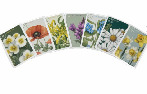 WILD FLOWER SEVENS CARD GAME