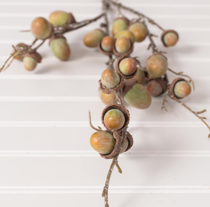 GREEN ACORN SPRAY