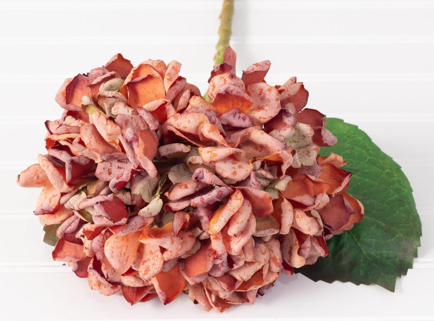 HYDRANGEA PICK - ASSORTED
