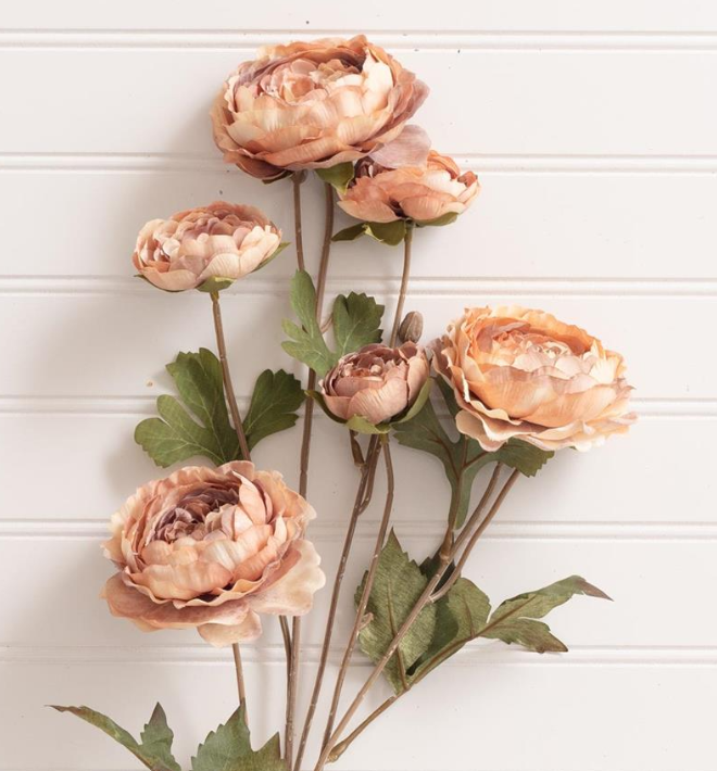 RANUNCULUS PICK - ASSORTED