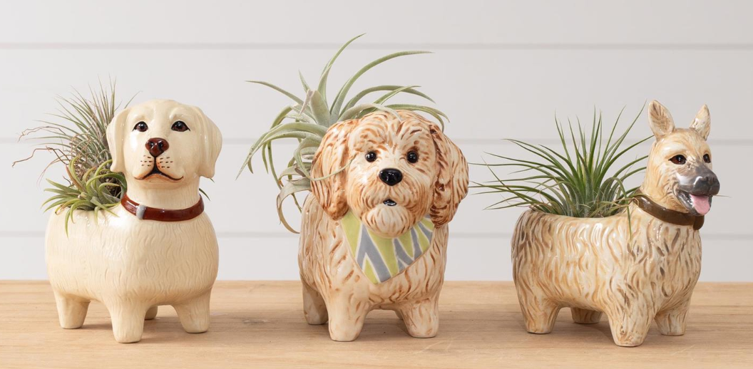 DOGGY PLANTER - ASSORTED