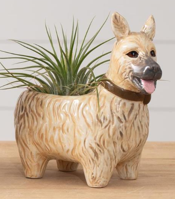DOGGY PLANTER - ASSORTED