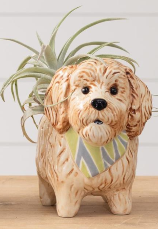 DOGGY PLANTER - ASSORTED