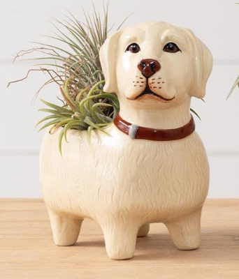 DOGGY PLANTER - ASSORTED