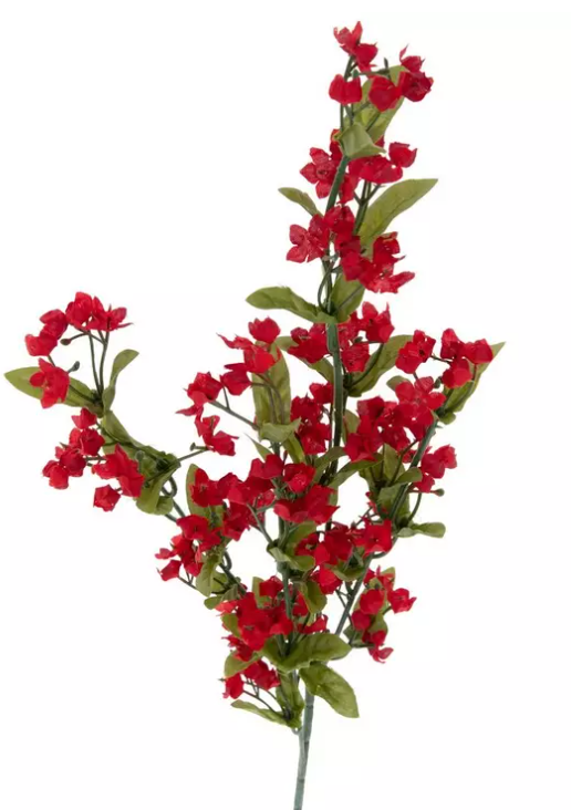 GYPSOPHILA STEM- ASSORTED