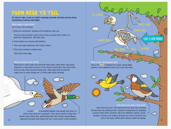 100 QUESTONS ABOUT BIRDS