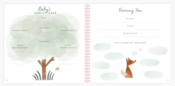 BABY'S FIRST YEARS: BABY BOOK AND KEEPSAKE PHOTO ALBUM