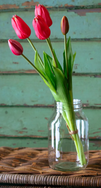SALMON-RED TULIP BUNCH