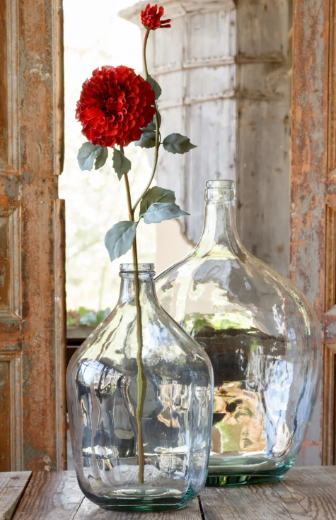 SANGRIA BORDER DAHLIA