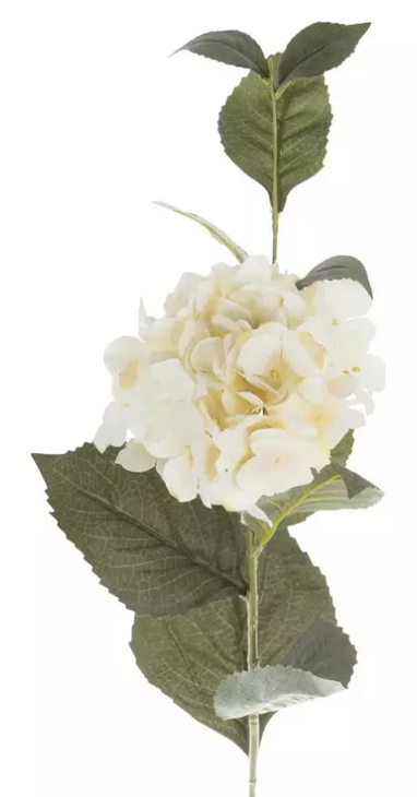 CREAM HYDRANGEA STEM