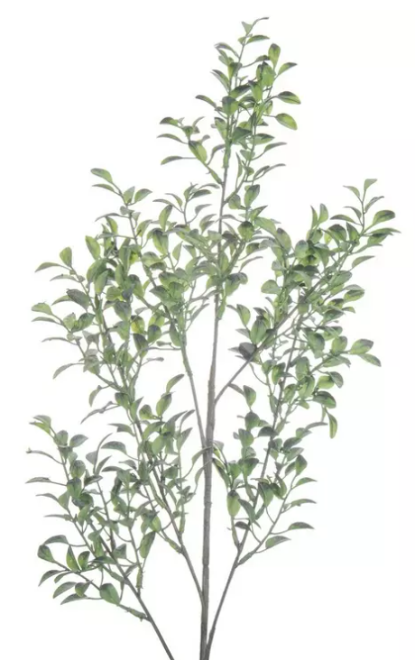 FROSTED GREENERY SPRAY