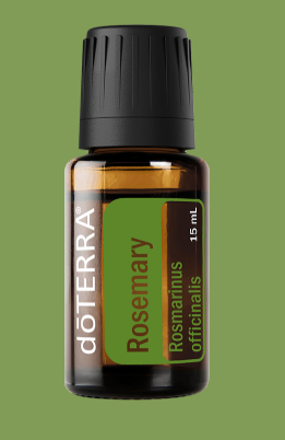 ROSEMARY ESSENTIAL OIL