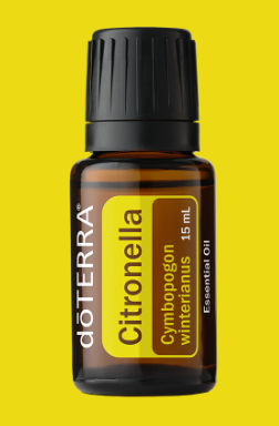 CITRONELLA ESSENTIAL OIL