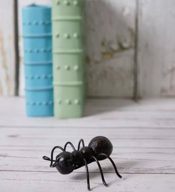 CAST IRON ANT