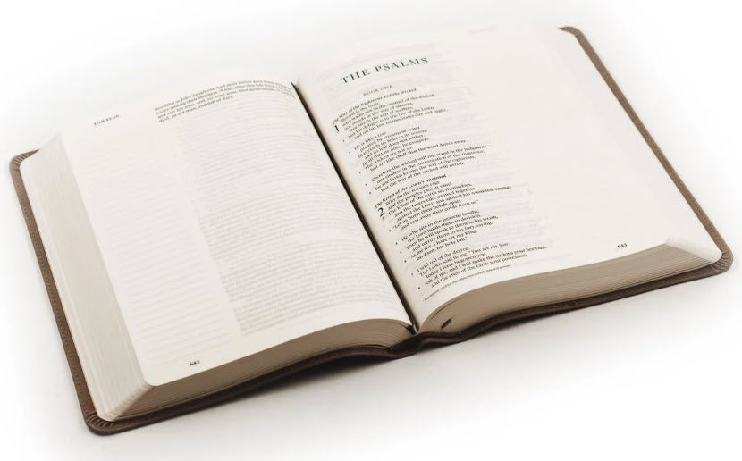 ESV LARGE PRINT JOURNALING BIBLE: NARA THEME BY HOSANNA REVIVAL