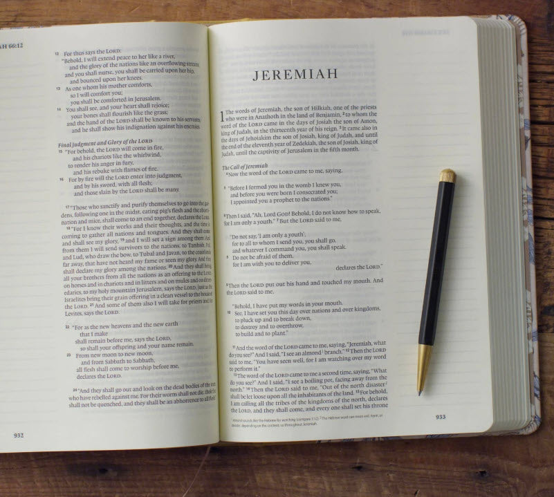 ESV SINGLE COLUMN LARGE PRINT JOURNALING BIBLE: CROSSWAY