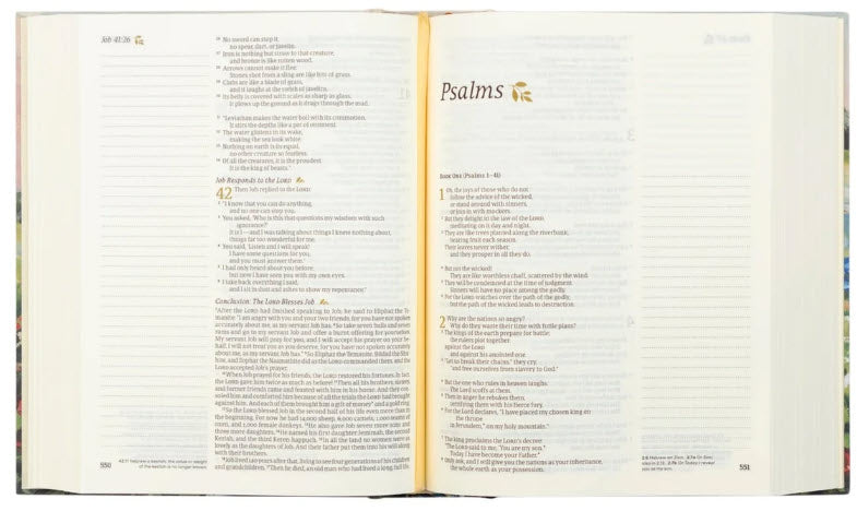 NLT NOTETAKING BIBLE: CORAM THEME