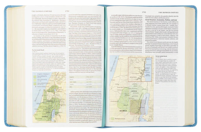ESV STUDY BIBLE: BETHANY THEME