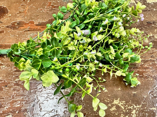 EUCALYPTUS & BASSWOOD BUSH