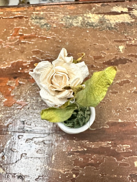 MINIATURE ROSE TABLE SETTING OR DECORATION