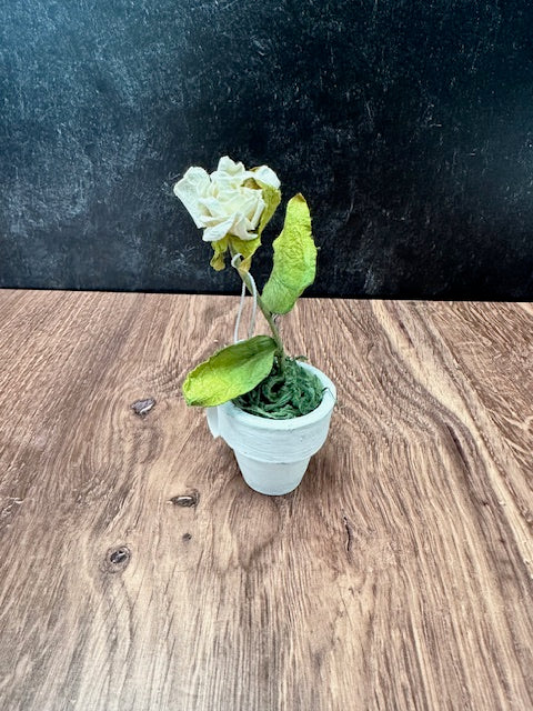 MINIATURE ROSE IN WHITE POT