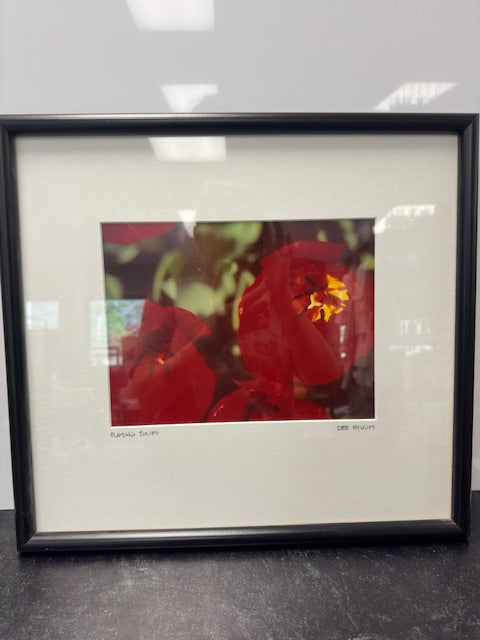 PHOTOGRAPHY BY DEE BYNUM - FLORAL SERIES