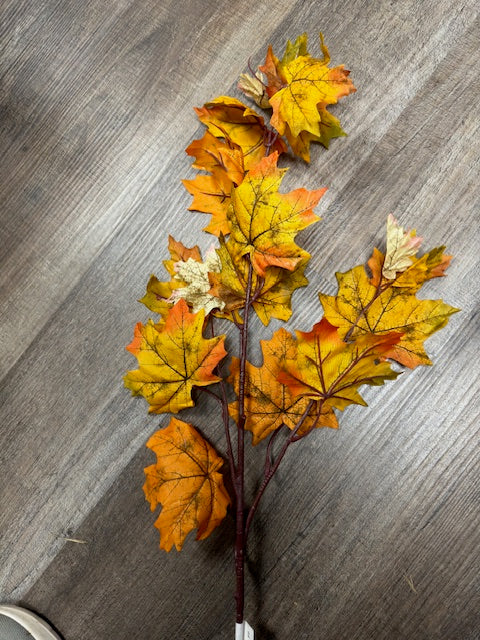 FALL MAPLE LEAVES STEM