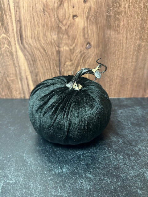 BLACK VELVET PUMPKINS - ASSORTED