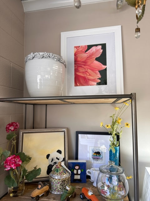 FAIRVIEW PHOTOGRAPHY "DAHLIA DRAMA" BY DEBBIE KARNES