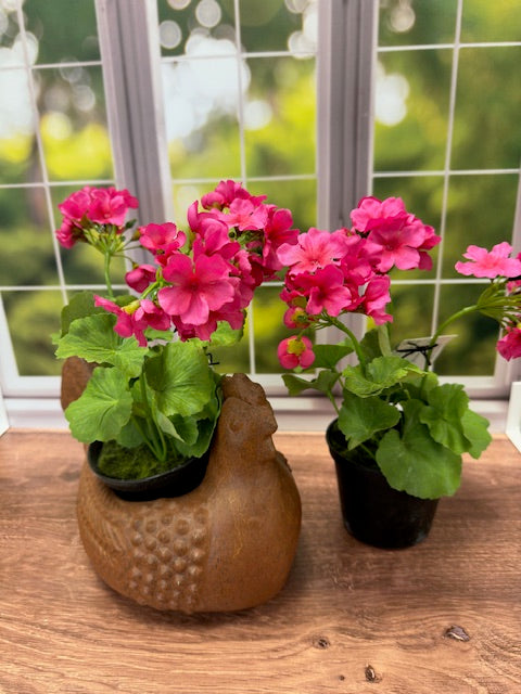 GERANIUM DROP-IN 10"