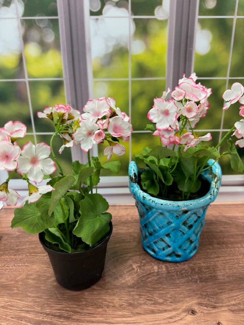 GERANIUM DROP-IN 10"