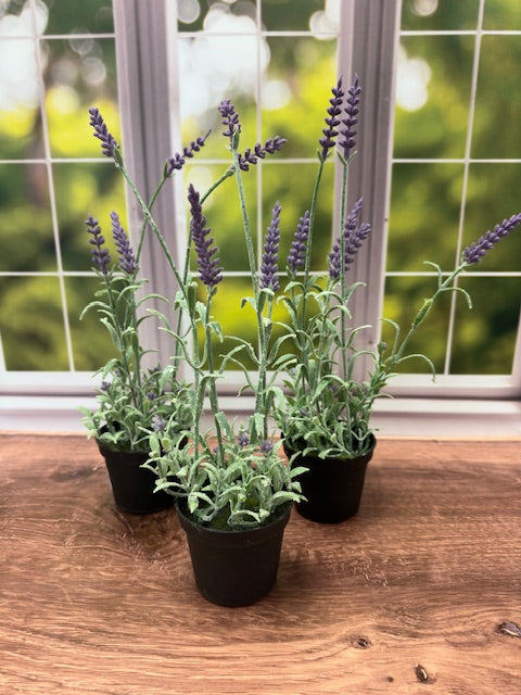 MINI FRENCH LAVENDER DROP-IN - 13"