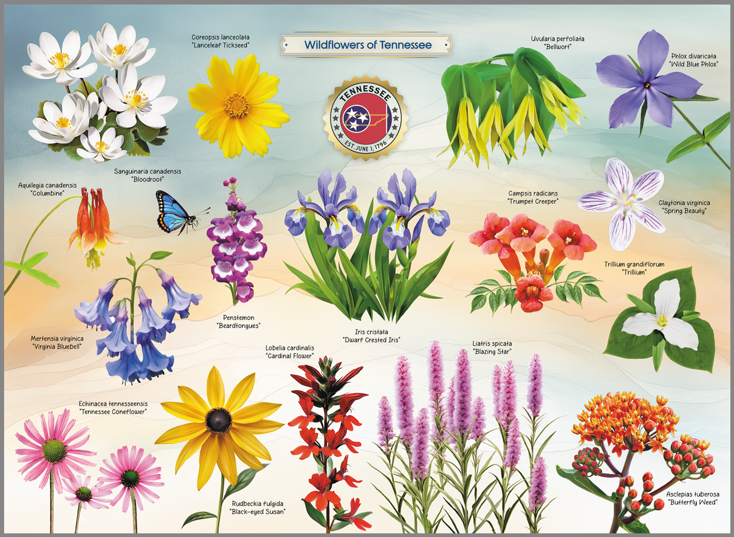 HIGHLAND CREEK WILDFLOWERS OF TENNESSEE JIGSAW PUZZLE